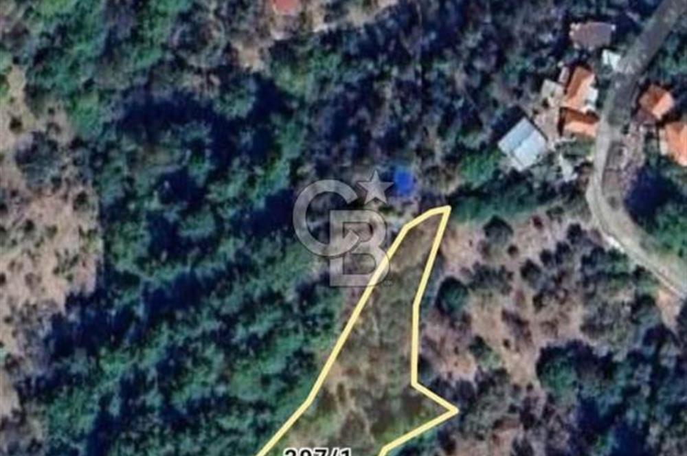 ÇANAKKALE AYVACIK KÜÇÜKKUYU'DA 2.376 m2 YOLA YAKIN ZEYTİNLİK