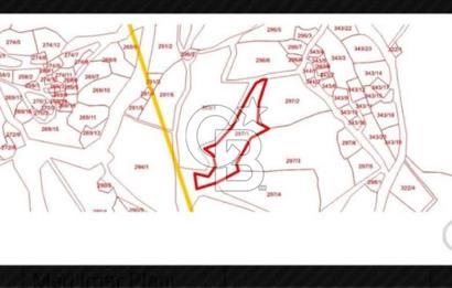 ÇANAKKALE AYVACIK KÜÇÜKKUYU'DA 2.376 m2 YOLA YAKIN ZEYTİNLİK