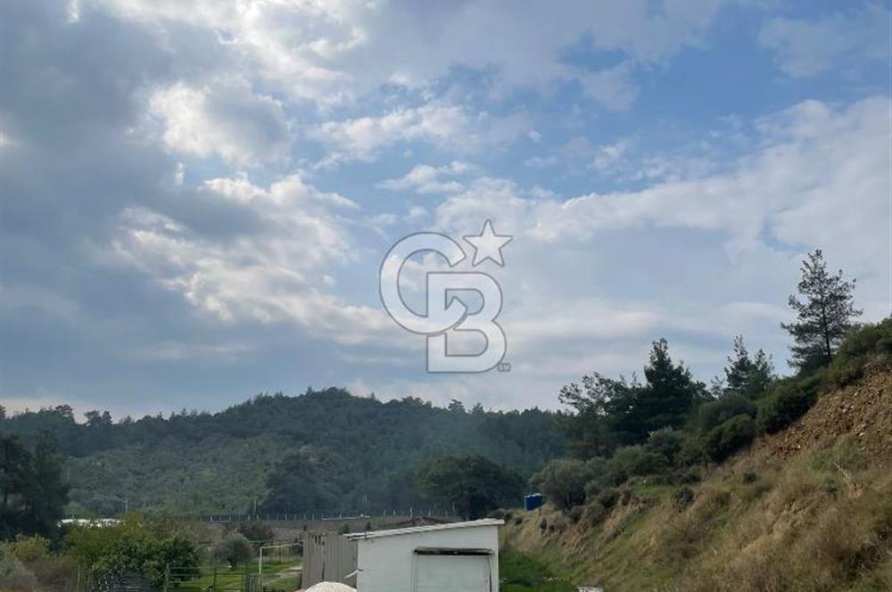 Kemalpaşa'da Organik Sertifikalı ve Tavuk Çiftliği