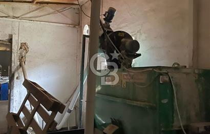 Kemalpaşa'da Organik Sertifikalı ve Tavuk Çiftliği