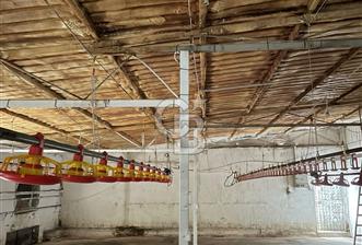 Kemalpaşa'da Organik Sertifikalı ve Tavuk Çiftliği - 1 - 330303