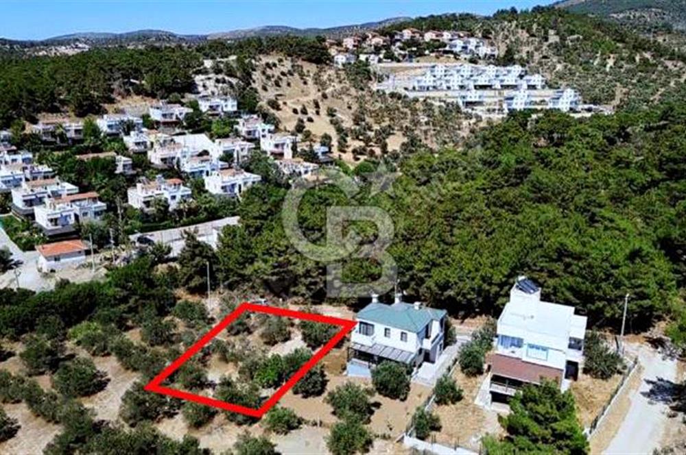 CB AMBIANCE'DAN EZİNE/TAVAKLI'DA MÜSTAKİL TAPULU 500 M2 ARSA