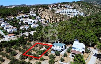 CB AMBIANCE'DAN EZİNE/TAVAKLI'DA MÜSTAKİL TAPULU 500 M2 ARSA