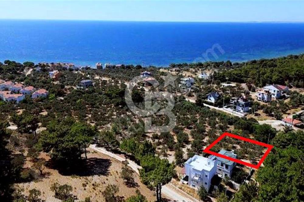 CB AMBIANCE'DAN EZİNE/TAVAKLI'DA MÜSTAKİL TAPULU 500 M2 ARSA