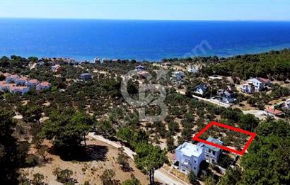 CB AMBIANCE'DAN EZİNE/TAVAKLI'DA MÜSTAKİL TAPULU 500 M2 ARSA