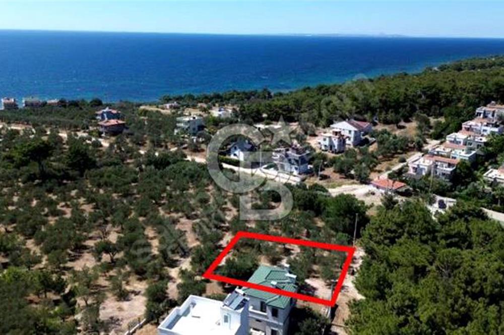 CB AMBIANCE'DAN EZİNE/TAVAKLI'DA MÜSTAKİL TAPULU 500 M2 ARSA