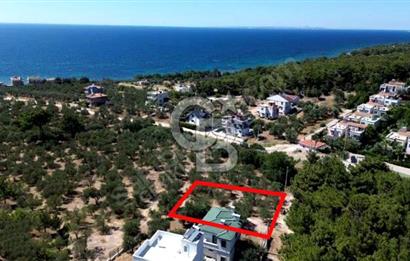 CB AMBIANCE'DAN EZİNE/TAVAKLI'DA MÜSTAKİL TAPULU 500 M2 ARSA