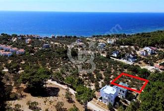 CB AMBIANCE'DAN EZİNE/TAVAKLI'DA MÜSTAKİL TAPULU 500 M2 ARSA - 1 - 330333