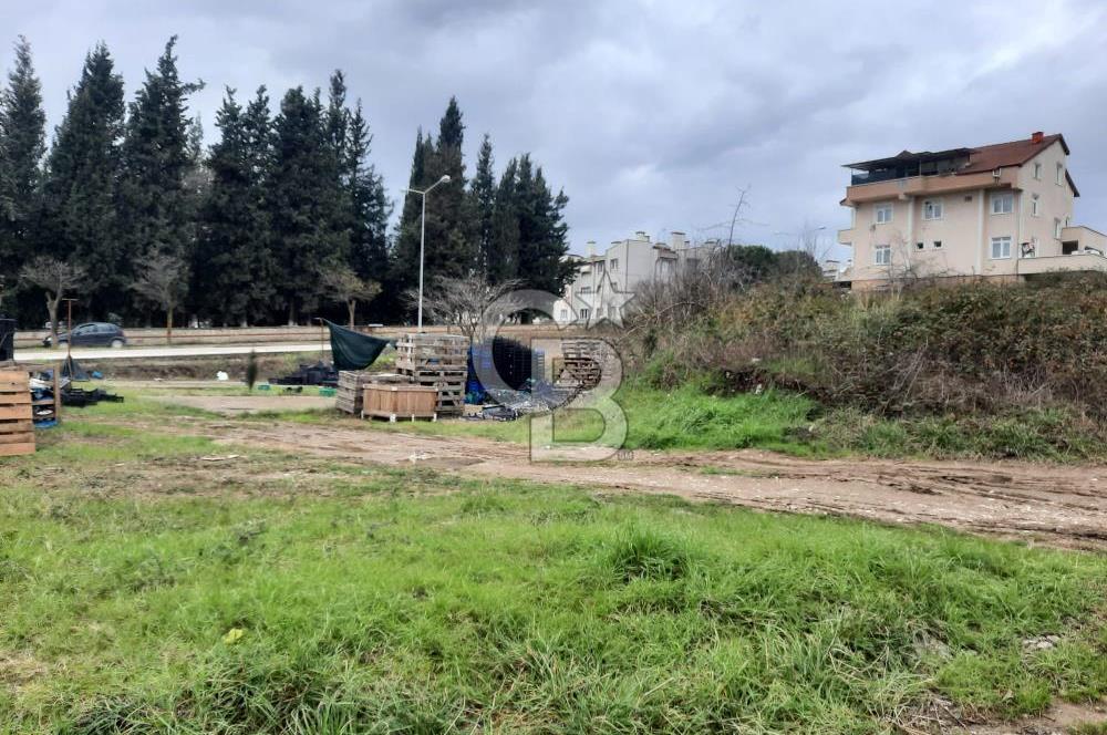 Şirinköy Güzel Konumda Satılık Arsa 