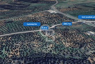 İzmir Bergama İzmir Çanakkale Yoluna 100 m Satılık Zeytinlik - 1 - 330371