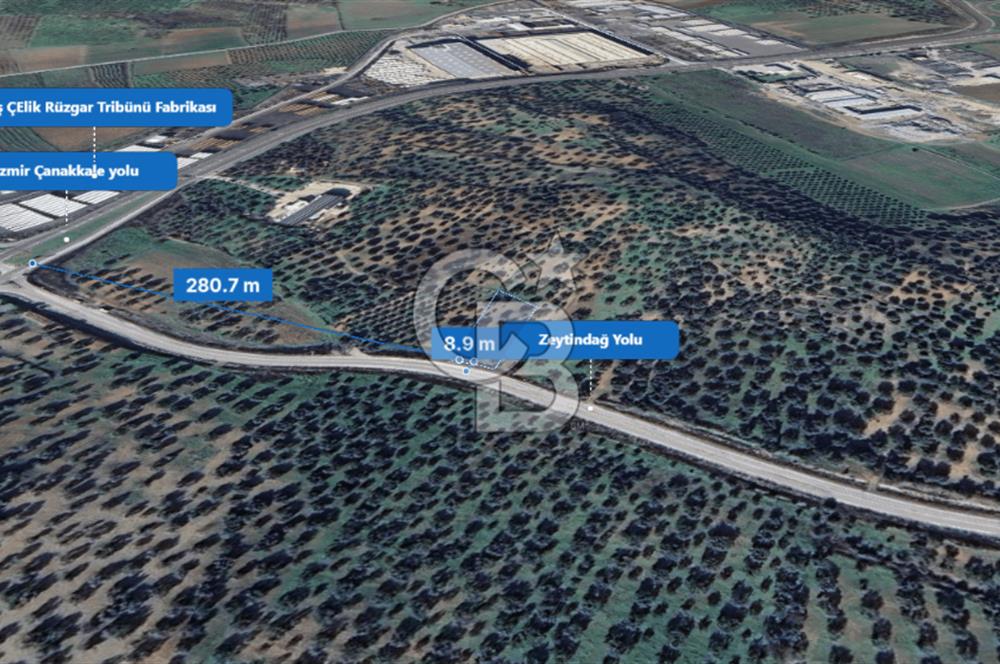 İzmir Bergama İzmir Çanakkale Yoluna 100 m Satılık Zeytinlik