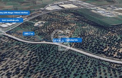 İzmir Bergama İzmir Çanakkale Yoluna 100 m Satılık Zeytinlik