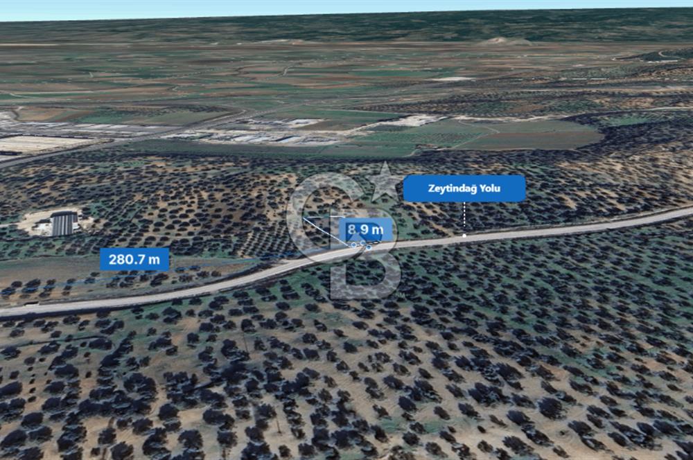 İzmir Bergama İzmir Çanakkale Yoluna 100 m Satılık Zeytinlik