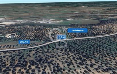 İzmir Bergama İzmir Çanakkale Yoluna 100 m Satılık Zeytinlik