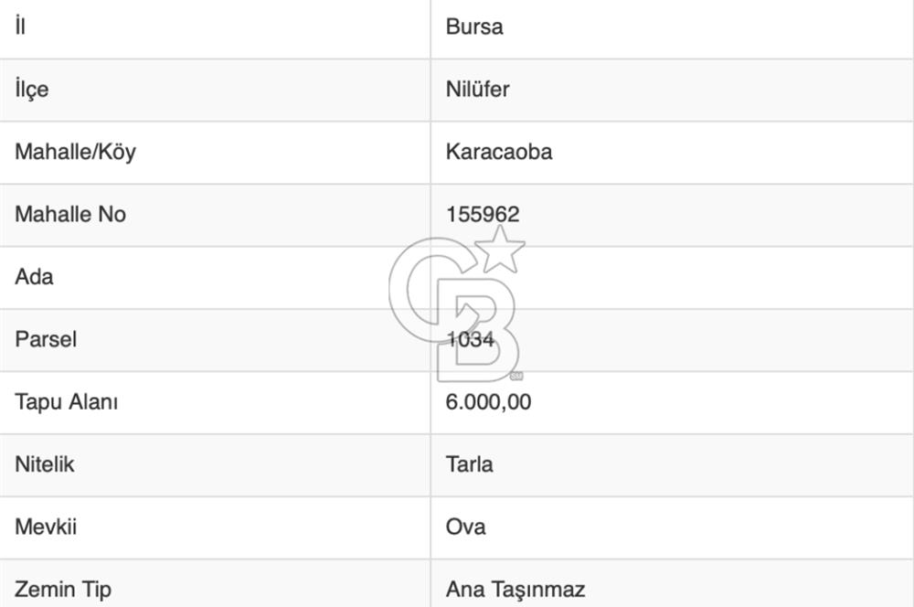 CB BLACK'TAN KARACAOBA'DA DEĞERLİ TARLA