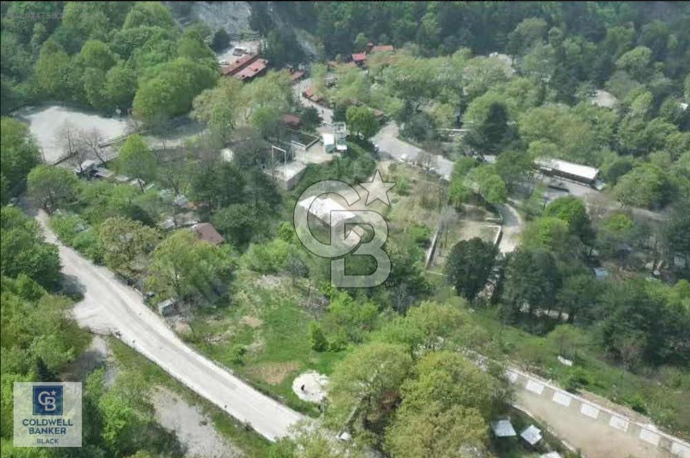 CB BLACK'TEN SAİTABAT ŞELALESİ YANINDA ÇOK DEĞERLİ ARSA