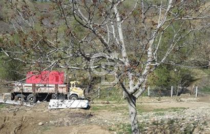 İzmir Tire Dağdere Mahallesi Satılık Ceviz Tarlası 20 Dönüm