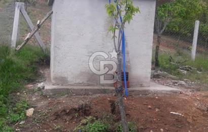 İzmir Tire Dağdere Mahallesi Satılık Ceviz Tarlası 20 Dönüm