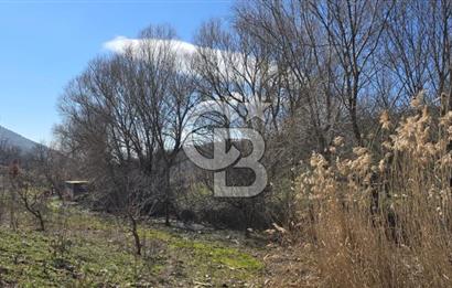 İzmir Tire Dağdere Mahallesi Satılık Ceviz Tarlası 20 Dönüm