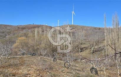 İzmir Tire Dağdere Mahallesi Satılık Ceviz Tarlası 20 Dönüm