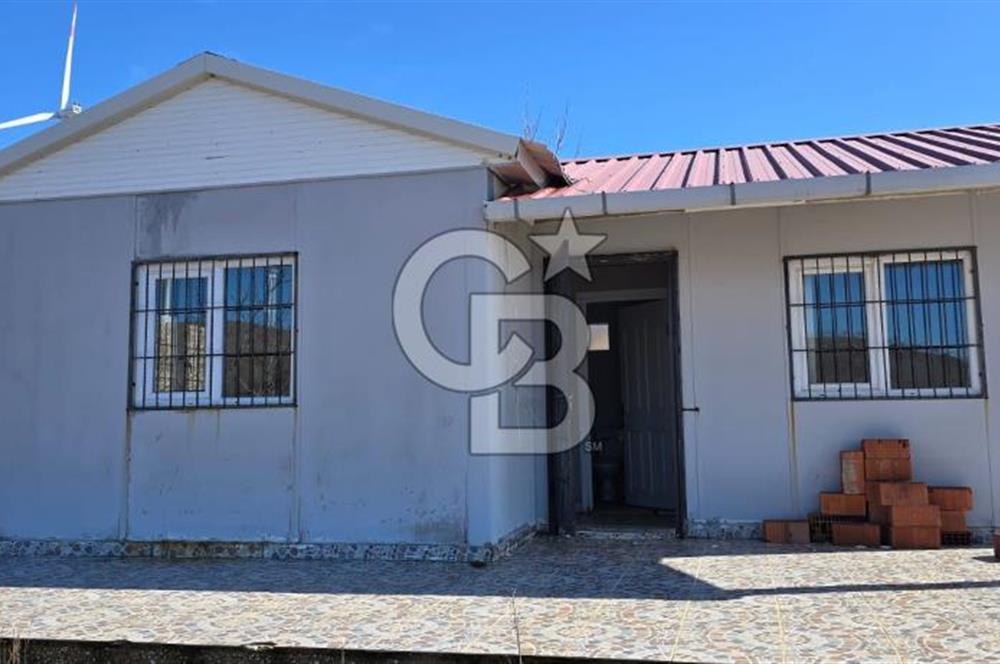 İzmir Tire Dağdere Mahallesi Satılık Ceviz Tarlası 20 Dönüm