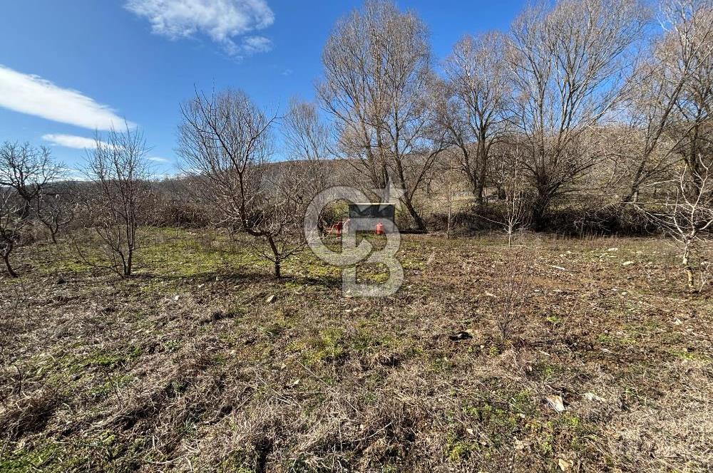 İzmir Tire Dağdere Mahallesi Satılık Ceviz Tarlası 20 Dönüm