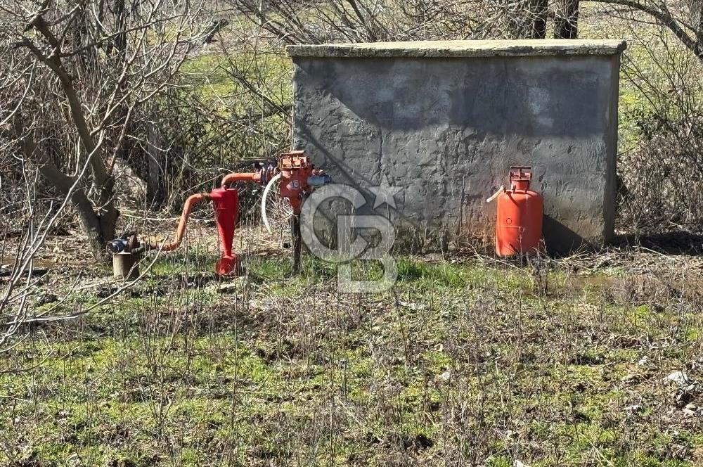 İzmir Tire Dağdere Mahallesi Satılık Ceviz Tarlası 20 Dönüm