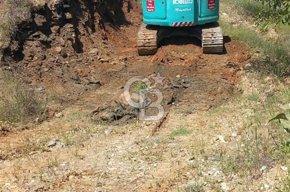 İzmir Tire Dağdere Mahallesi Satılık Ceviz Tarlası 20 Dönüm