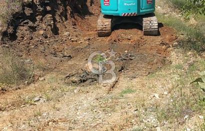 İzmir Tire Dağdere Mahallesi Satılık Ceviz Tarlası 20 Dönüm