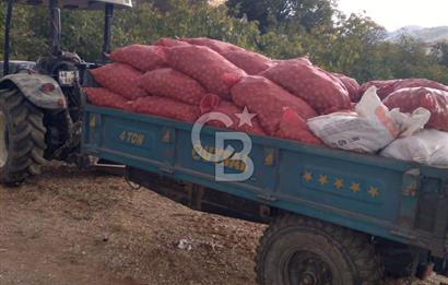 İzmir Tire Dağdere Mahallesi Satılık Ceviz Tarlası 20 Dönüm