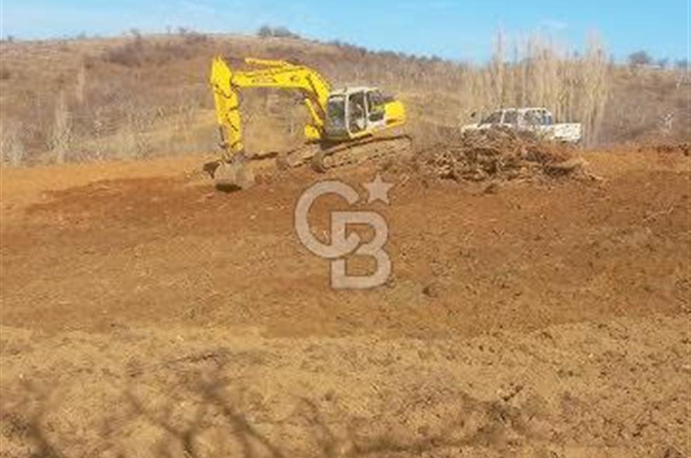 İzmir Tire Dağdere Mahallesi Satılık Ceviz Tarlası 20 Dönüm