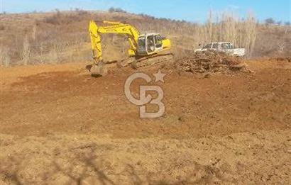 İzmir Tire Dağdere Mahallesi Satılık Ceviz Tarlası 20 Dönüm