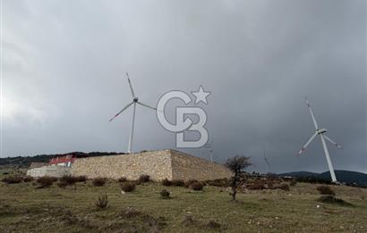 ŞENKÖY HIRBİ MEVKİİ'DE 400 m2 -VİLLA İMARLI- MÜSTAKİL TAPU ARSA