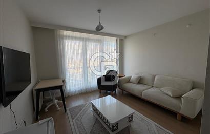 Tuzla Dumankaya Adres Lobi FULL YENİ EŞYALI KİRALIK 1+0 DAİRE