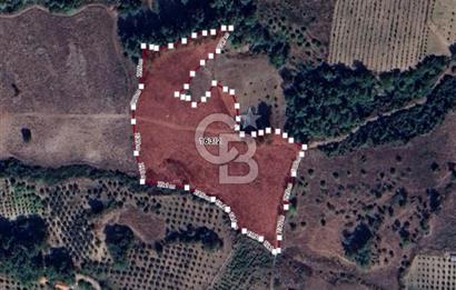 YAYLADAĞI-ÇABALA'DA *İMARLI* MÜSTAKİL-MERKEZE YAKIN SATILIK ARSA