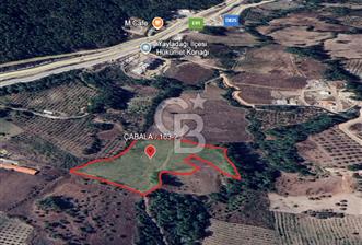 YAYLADAĞI-ÇABALA'DA *İMARLI* MÜSTAKİL-MERKEZE YAKIN SATILIK ARSA - 1 - 330351