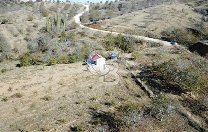 İzmir Tire Dağdere Mahallesi Satılık Ceviz Tarlası 20 Dönüm