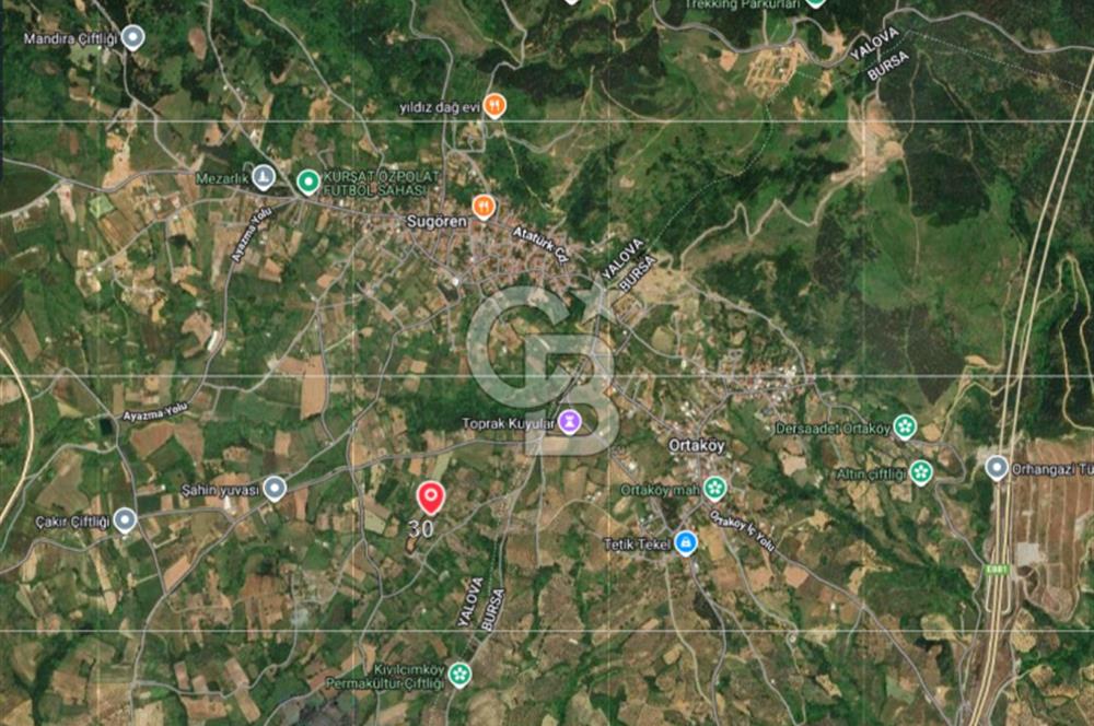 YALOVA MERKEZ SUGÖREN'DE SATILIK GENİŞ TARLA VE RESMİ KONUT