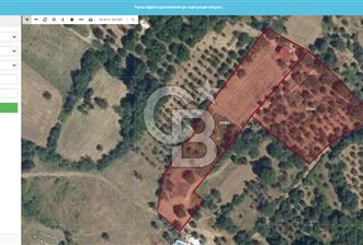 YALOVA MERKEZ SUGÖREN'DE SATILIK GENİŞ TARLA VE RESMİ KONUT - 1 - 330349