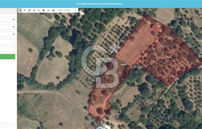 YALOVA MERKEZ SUGÖREN'DE SATILIK GENİŞ TARLA VE RESMİ KONUT