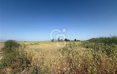 Menemen Tuzçullu 'ya 500 m İki Tarafı Yol Cepheli Fırsat Tarla