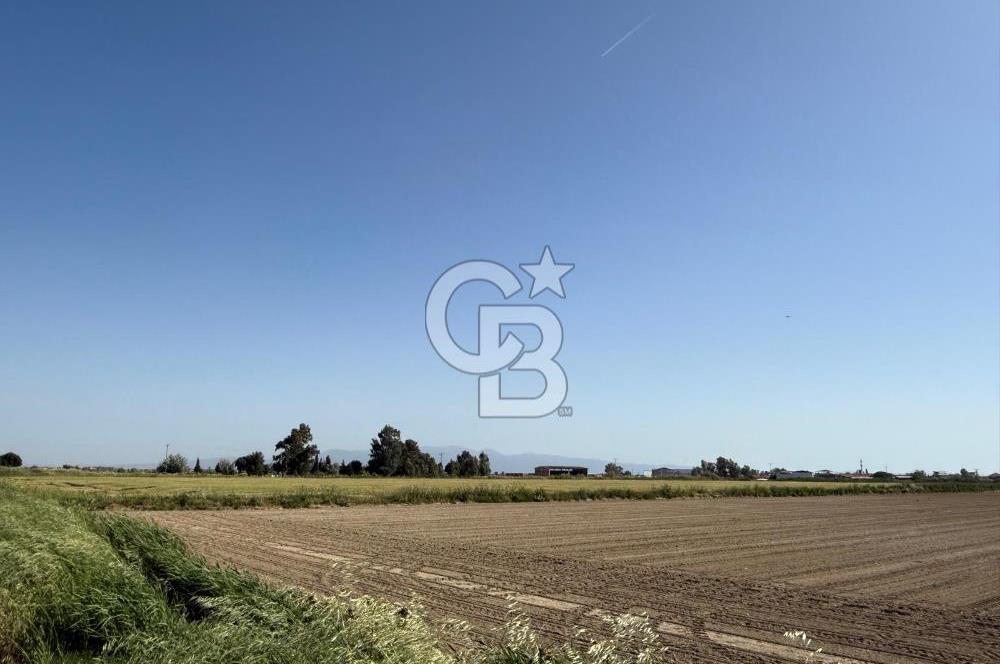 Menemen Tuzçullu 'ya 500 m İki Tarafı Yol Cepheli Fırsat Tarla