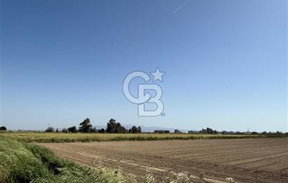 Menemen Tuzçullu 'ya 500 m İki Tarafı Yol Cepheli Fırsat Tarla