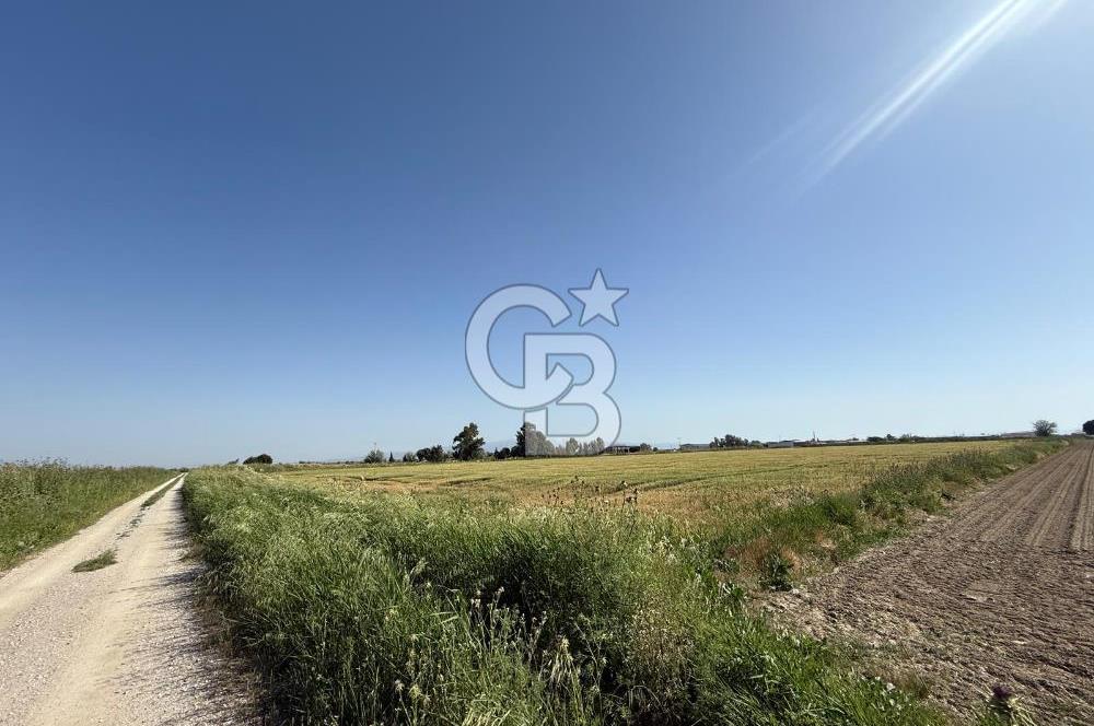 Menemen Tuzçullu 'ya 500 m İki Tarafı Yol Cepheli Fırsat Tarla