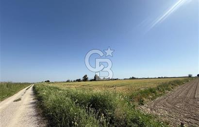 Menemen Tuzçullu 'ya 500 m İki Tarafı Yol Cepheli Fırsat Tarla