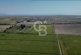 Menemen Tuzçullu 'ya 500 m İki Tarafı Yol Cepheli Fırsat Tarla - 1 - 292503