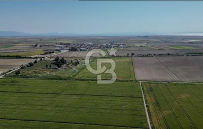 Menemen Tuzçullu 'ya 500 m İki Tarafı Yol Cepheli Fırsat Tarla