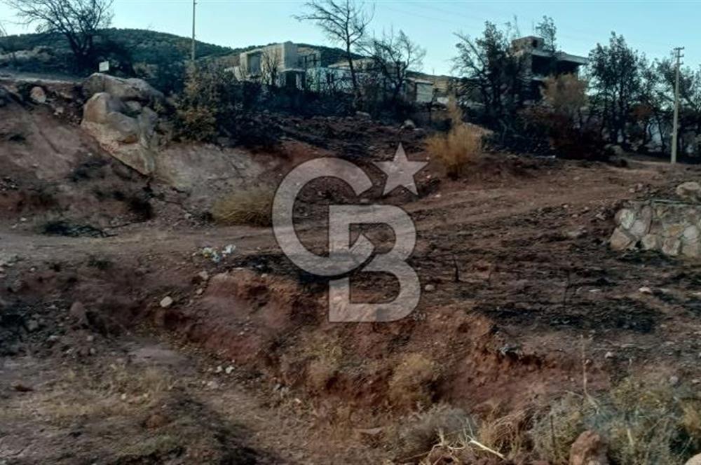 Egenin İncisi Çandarlı da Havuzlu Projeli Araç ve Ev Takaslı