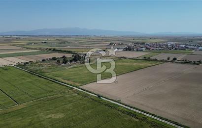 Menemen Tuzçullu 'ya 500 m İki Tarafı Yol Cepheli Fırsat Tarla