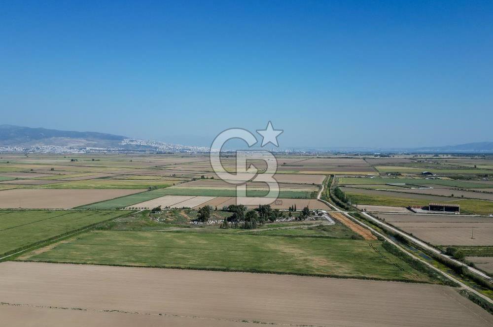 Menemen Tuzçullu 'ya 500 m İki Tarafı Yol Cepheli Fırsat Tarla